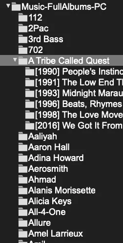 VDJ Folder View