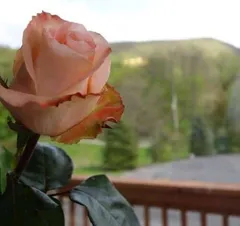 Cori & Tommy, A Gorgeous Wedding at Chalet On Hudson, Hudson Valley